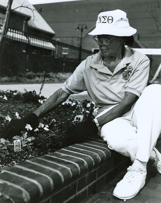 Frances Hargraves