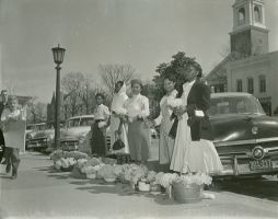 Chapel Hill Museum Collection