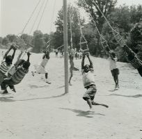 Chapel Hill Museum Collection